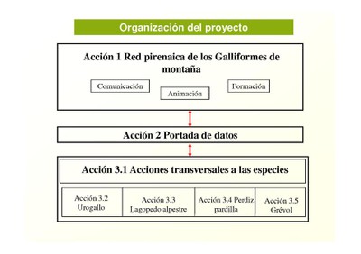 Organisation ESP